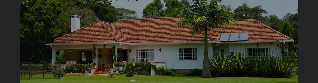 commercial and residential renovation